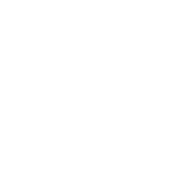 ce logo Raleigh