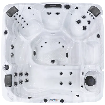Avalon EC-840L hot tubs for sale in Raleigh