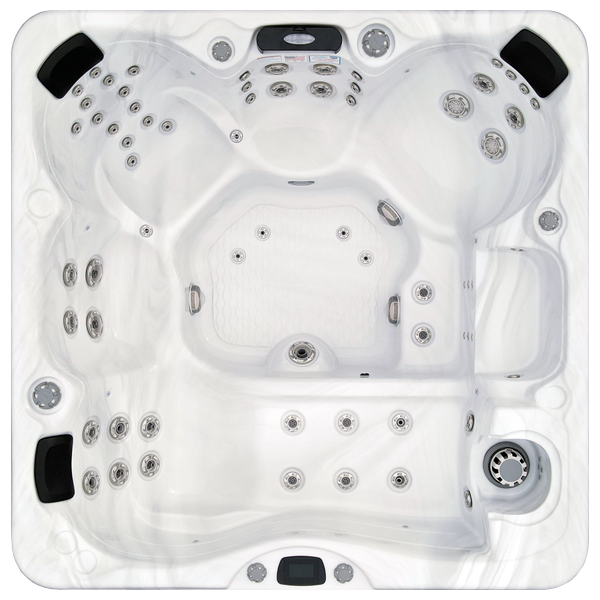 Avalon-X EC-867LX hot tubs for sale in Raleigh