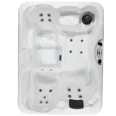 Kona PZ-519L hot tubs for sale in Raleigh