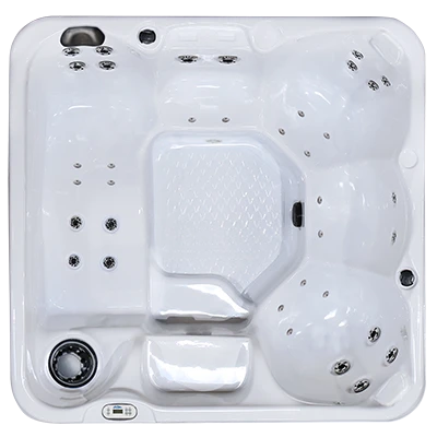 Hawaiian PZ-636L hot tubs for sale in Raleigh
